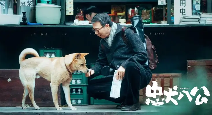 在日本用腾讯视频怎么解决地区权限